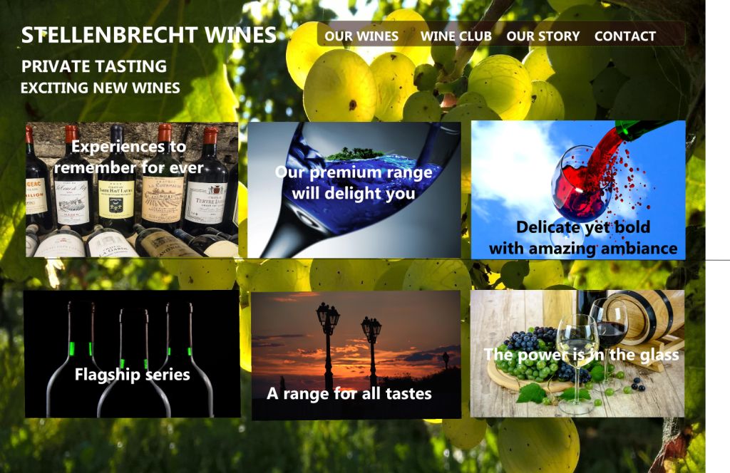 Vinyard